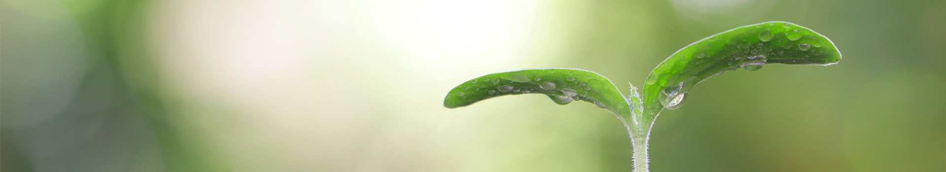 Ecolinea - servizi per l'ambiente